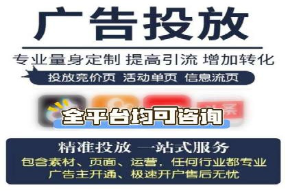 百度竞价SEM案例：揭秘高效广告投放技巧